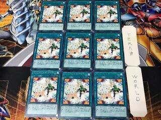 トリックスター・ブーケ FLOD 1 レア 9枚セット てら