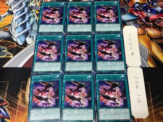 ヒステリック・サイン LTGY 2 レア 9枚セット てら