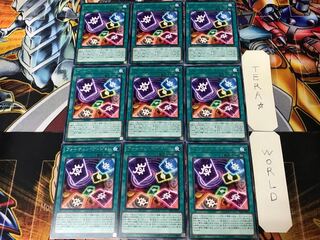 Fortune Vision RIRA 1 rare set of 9 tera
