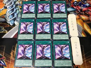 Meguri-Ai-LIOV 2 Rare 9-piece set Tera