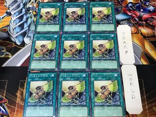 Gladiator Beast's Respite GLAS 1 rare, set of 9 Tera.