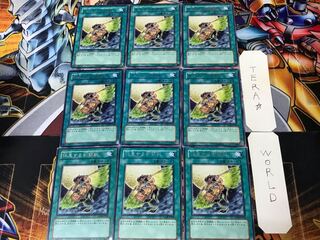 Gladiator Beast's Respite GLAS 2 rare, set of 9 Tera.