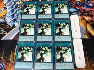 High Ritual Art DAMA 1 rare, set of 9 tera