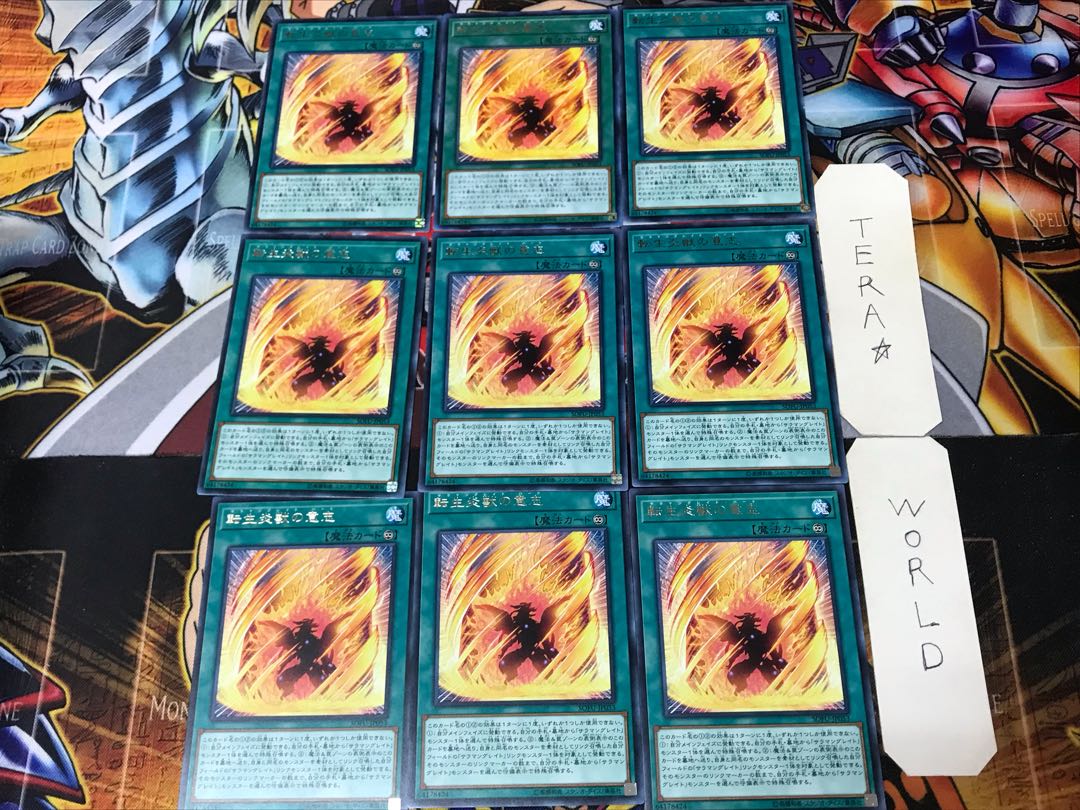 Will of the Salamangreat SOFU 1 rare, set of 9 Tera.