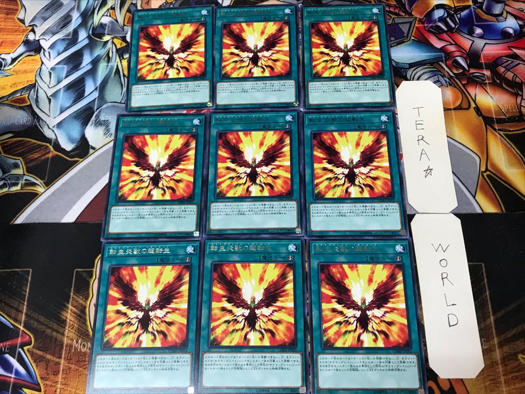 Salamangreat Transcendence SOFU 2 rare, set of 9 tera