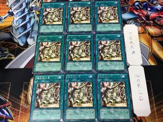 Secret Village of the Spellcasters CSOC 1 rare, set of 9 Tera.