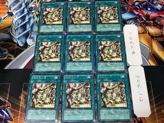 Secret Village of the Spellcasters CSOC 3 rare, set of 9 Tera.