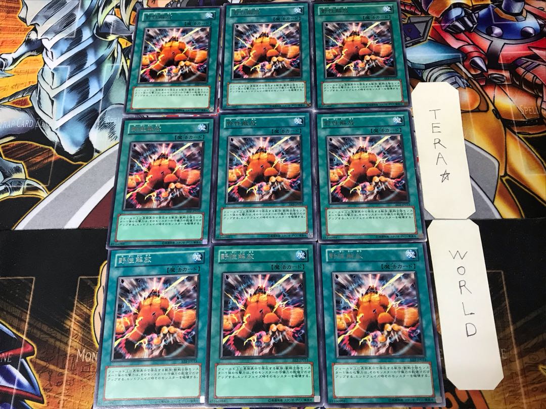 Wild LifeLiberate EE2 3 Rare Set of 9 Tera.