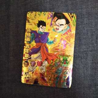 Son Gohan in his youth