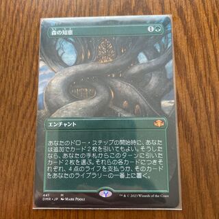 Sylvan Library Extension