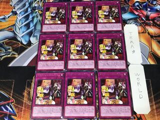 Dragonmaid Tidying ROTD 1 rare set of 9 tera