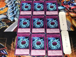 Paleozoic Dinomischus EP16 1 rare set of 9 terra