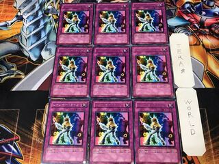 レインボー・ライフ PTDN 2 レア 9枚セット てら