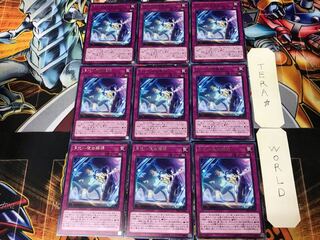 月光小夜曲舞踊 DP21 2 レア 9枚セット てら