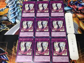 漆黒の薔薇の開華 DP21 1 レア 9枚セット てら