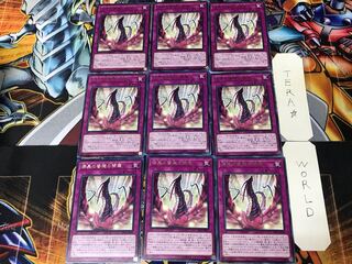 漆黒の薔薇の開華 DP21 2 レア 9枚セット てら