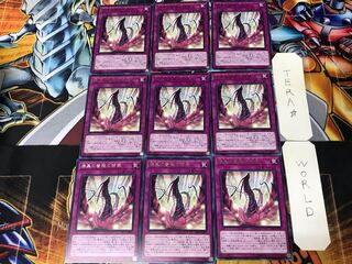 漆黒の薔薇の開華 DP21 3 レア 9枚セット てら