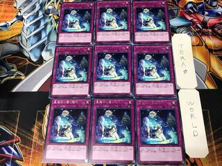 Reverberations echoing in the star relics FLOD 3 Rare 9-card set TERRA 9枚