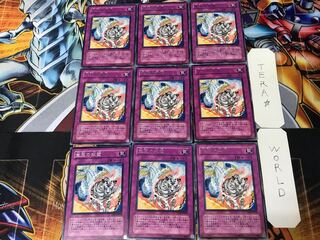 宝玉の双璧 DP07 1 レア 9枚セット てら