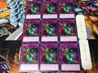 無償交換 COTD 1 レア 9枚セット てら