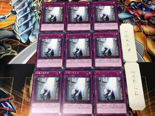 The Sanctified Darklord FLOD 2 rare, set of 9, Tera.