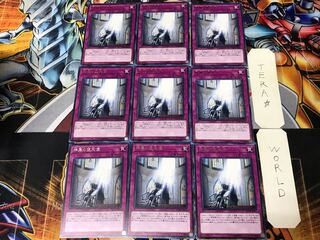 The Sanctified Darklord FLOD 3 rare, set of 9, Tera.