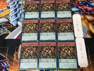 DD Gryphon BACH 3 Rare 9 pieces Tera