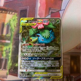 フシギバナ&ツタージャ