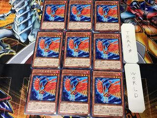 ZW-Phoenix crossbow REDU 1 rare, set of 9 Tera.