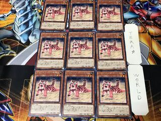 アマゾネスペット仔虎 DP18 2 レア 9枚セット てら
