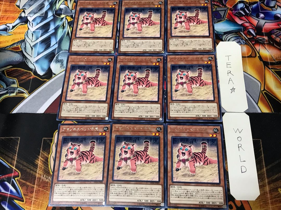 Amazoness Baby Tiger DP18 3 Rare Set of 9 Tera.