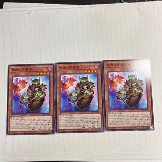 熟練の栗魔導士 ノーマル JP024