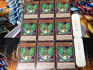 ガスタ・ヴェズル DAMA 1 レア 9枚セット てら