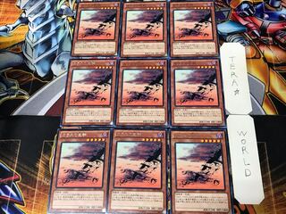 カラスの巨群 SHSP 1 レア 9枚セット てら