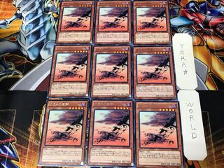 カラスの巨群 SHSP 2 レア 9枚セット てら