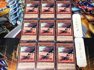 カラスの巨群 SHSP 3 レア 9枚セット てら