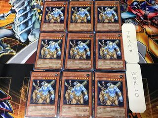 クリオスフィンクス TLM 2 レア 9枚セット てら