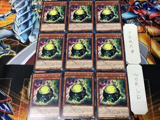 Kuribandit CPL1 1 rare set of 9 tera