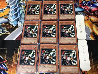 ザ・カリキュレーター PTDN 2 レア 9枚セット てら