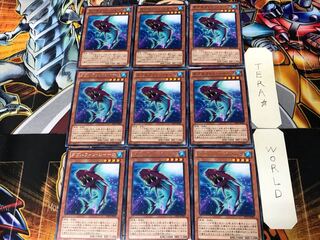 ダブルフィン・シャーク DP15 3 レア 9枚セット てら