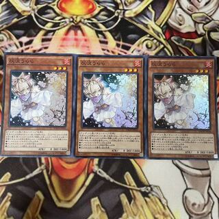 Ash Blossom & Joyous Spring Super 3 copies