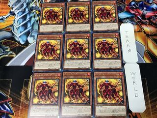 Nemeses Flag ETCO 3 Rare Set of 9 Tera