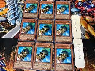 Fiber Jar BE2 1 rare, set of 9 Tera.