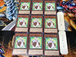 ファーニマル・ドッグ NECH 2 レア 9枚セット てら