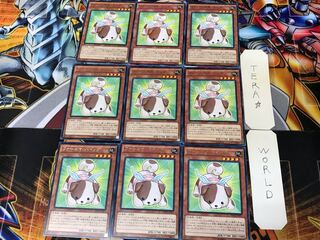 ファーニマル・ドッグ NECH 3 レア 9枚セット てら