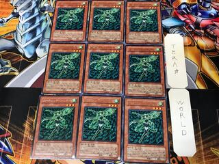 フォーチュンレディ・ウインディー SOVR 1 レア 9枚セット てら