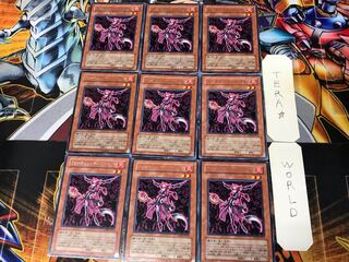 Fortune Lady Fire ANPR 2 Rare Set of 9 Tera.