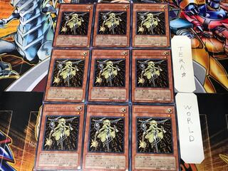 フォーチュンレディ・ライティー ANPR 1 レア 9枚セット てら