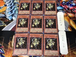 フォーチュンレディ・ライティー ANPR 2 レア 9枚セット てら