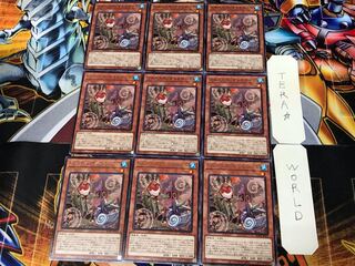 Floowandereeze & Robina BODE 1 Rare set of 9 tera